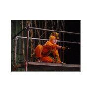 Klicken zum Vergr�ssern